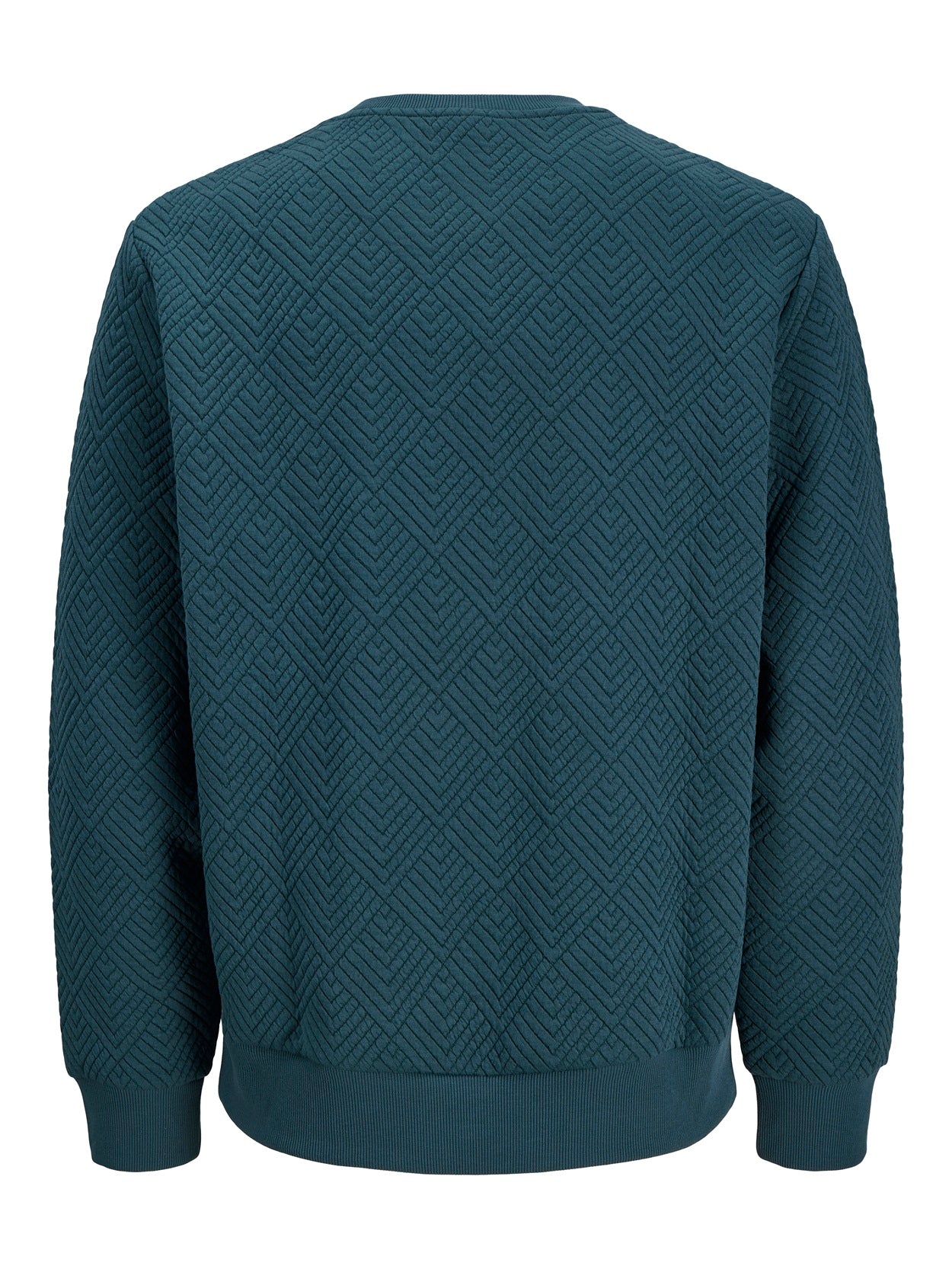 JCOGEO SWEAT CREW NECK SMU PLS BLAUW