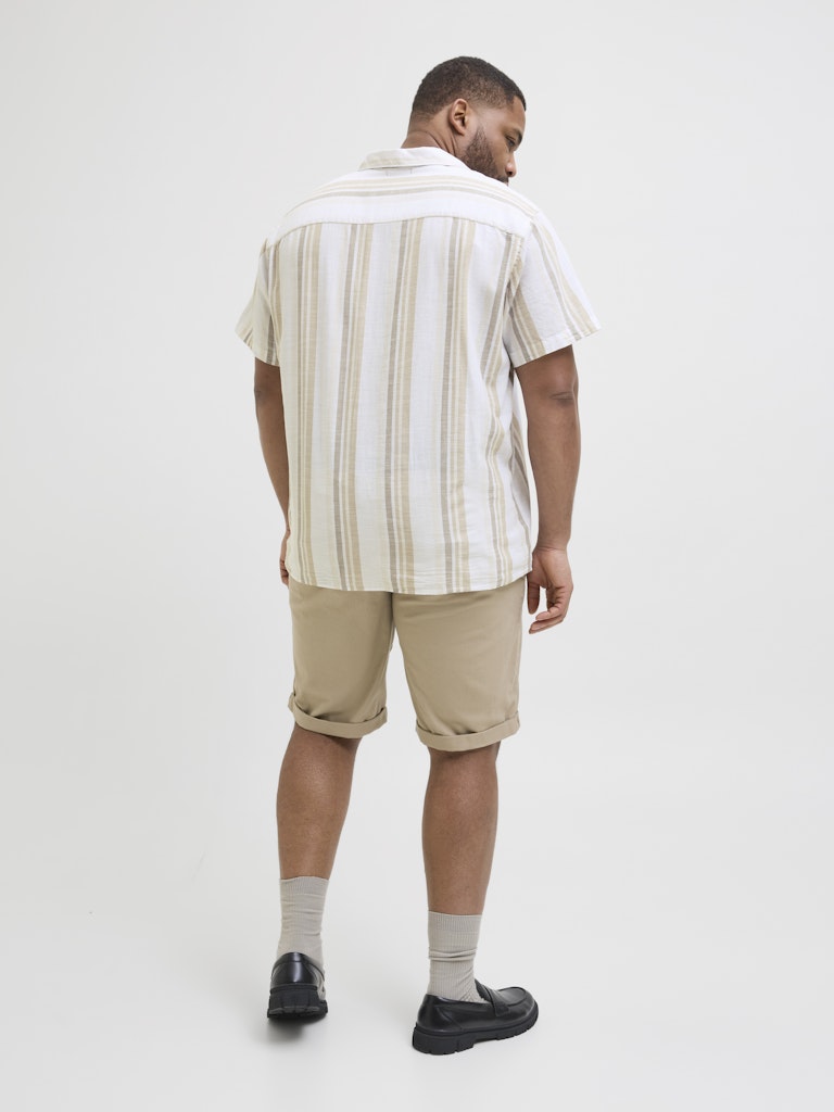 Jack & Jones PLUS JPRCCSUMMER STRIPE RESORT S/S SHIR PLS