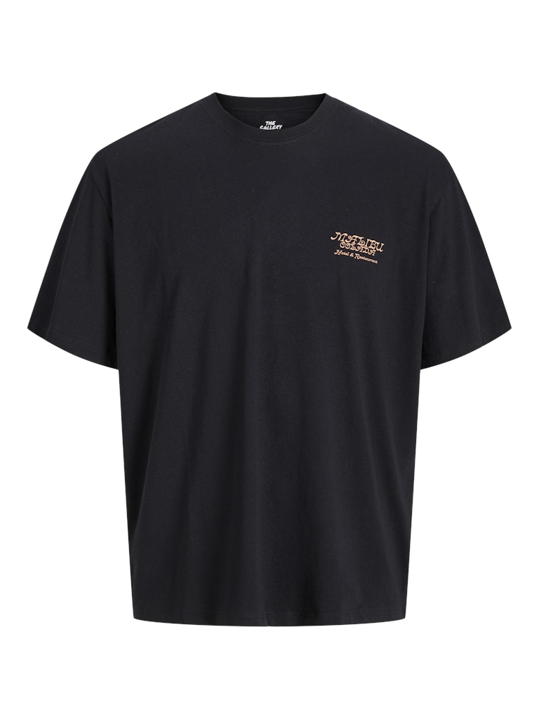 Jack & Jones JORBOTANIQ TEE SS CREW NECK TG PLS zwart
