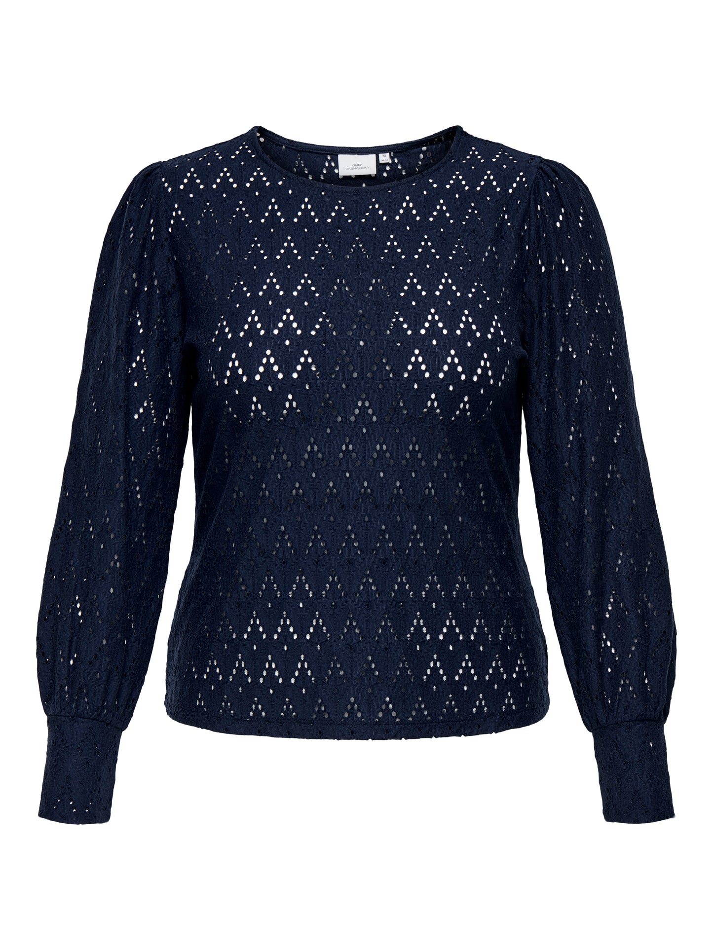 ONLY CARMAKOMA CARCATTLEYA L/S O-NECK TOP JRS BLAUW
