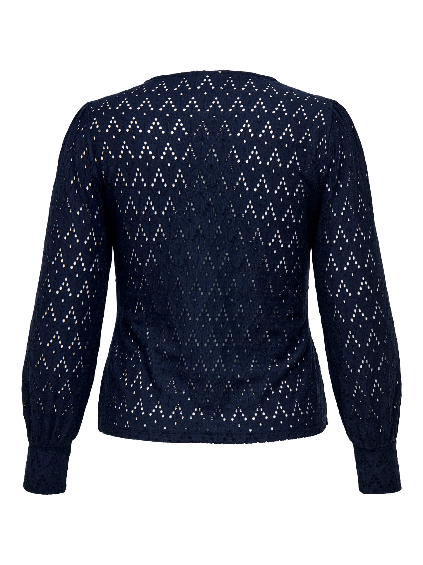 ONLY CARMAKOMA CARCATTLEYA L/S O-NECK TOP JRS BLAUW