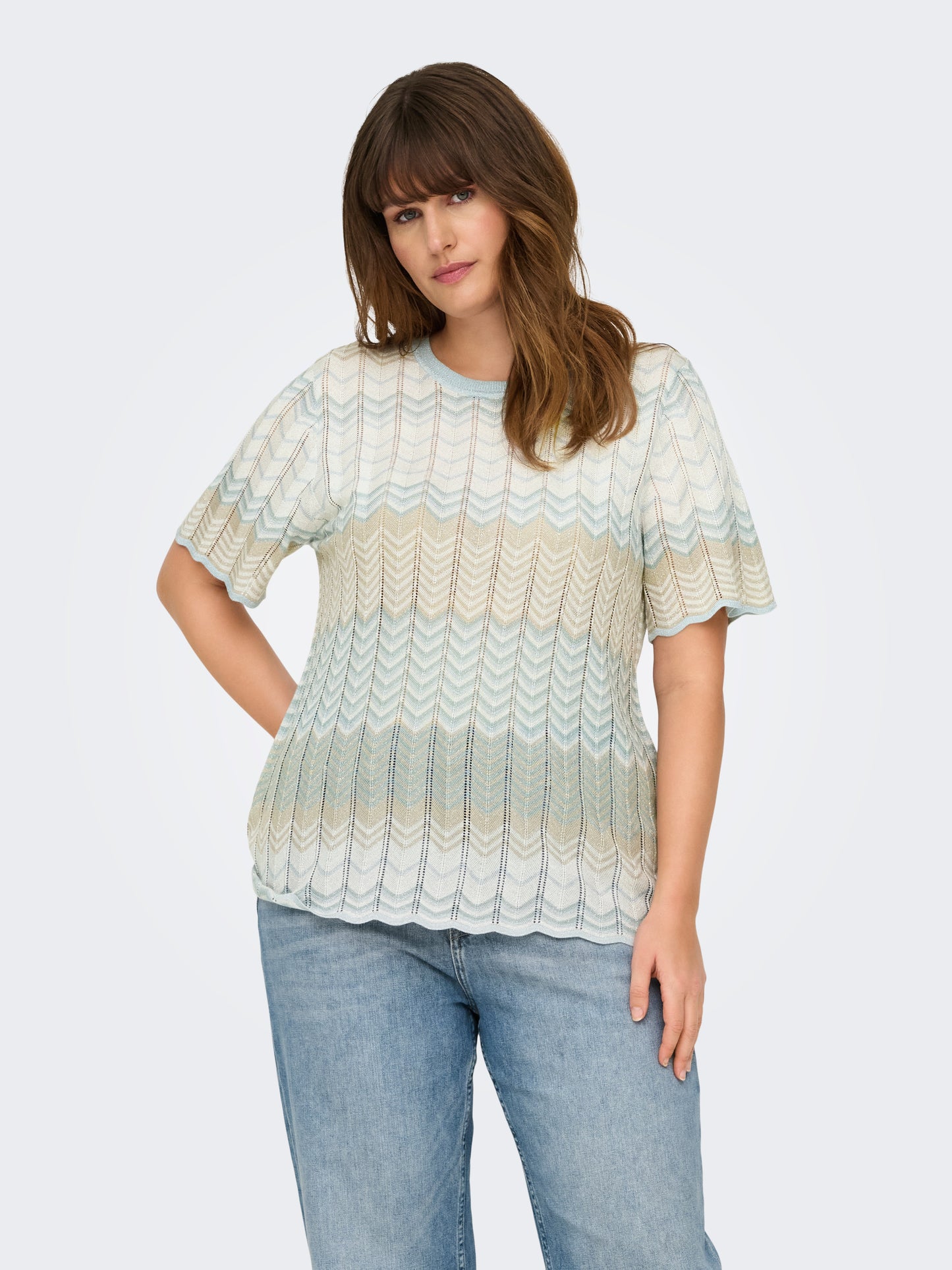 ONLY CARMAKOMA CARALVIRA LIFE SS GLITTER O-NECK