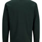 JACK&JONES JPRBLUALVES LS POLO PLS KLEUR PINENEEDLE