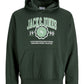 JACK&JONES  JJMAKO SWEAT HOOD Kleur Groen