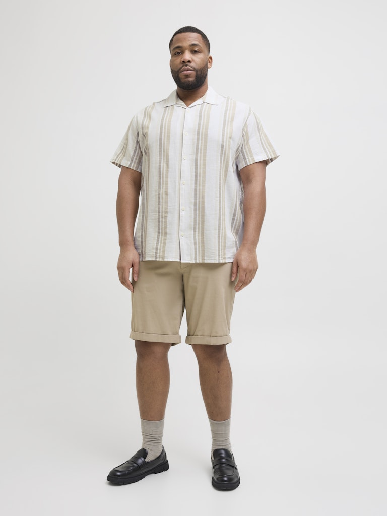 Jack & Jones PLUS JPRCCSUMMER STRIPE RESORT S/S SHIR PLS