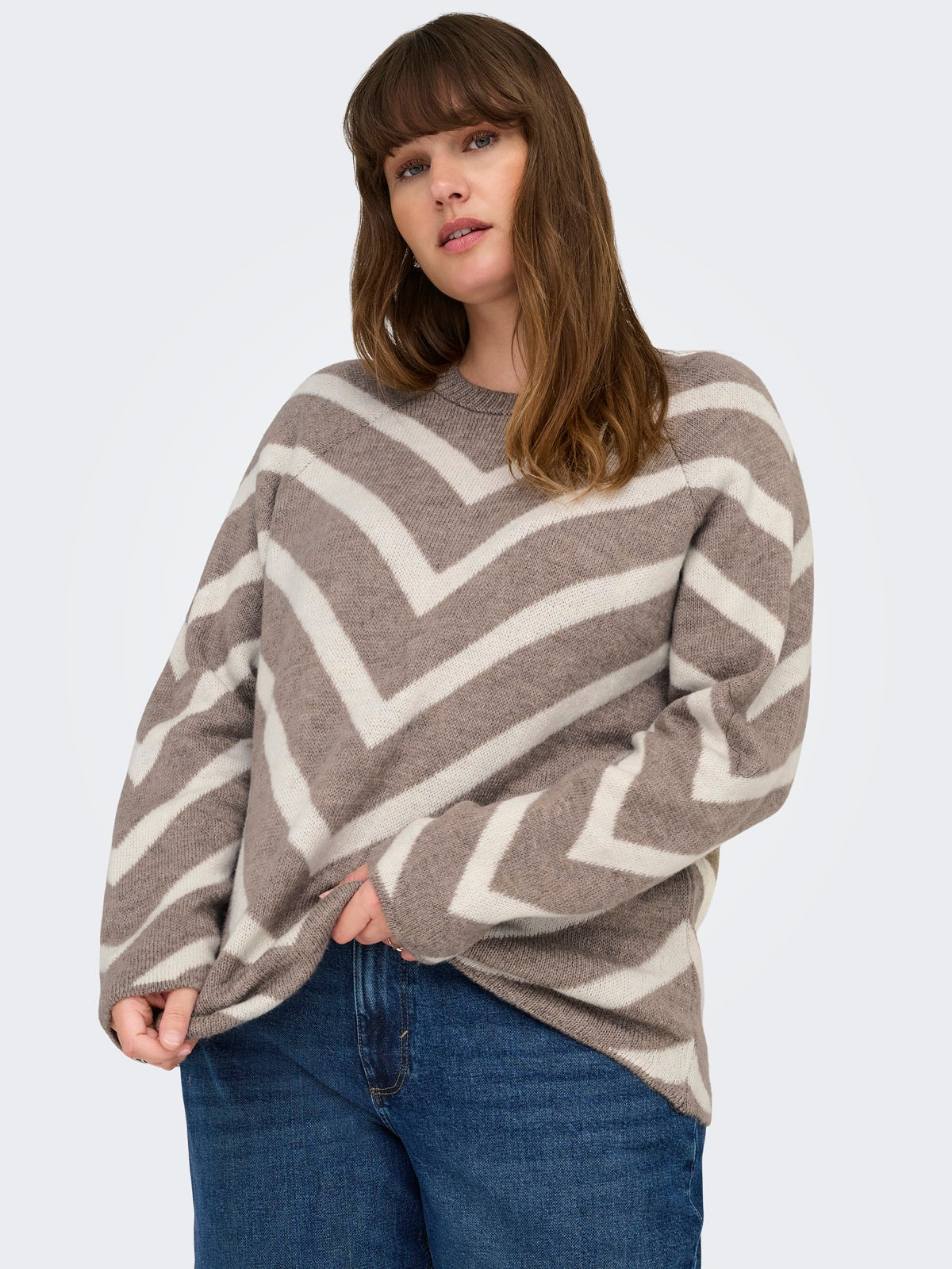 ONLY CARMAKOMA CARELIZA L/S PULLOVER KNT NOOS