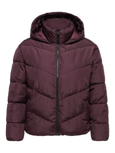 ONLY CARMAKOMA  CARCLAIR SHORT PUFFER OTW