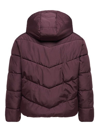 ONLY CARMAKOMA  CARCLAIR SHORT PUFFER OTW