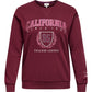 ONLY CARMAKOMA CARBEN L/S O-NECK SWEAT JRS ROO