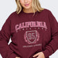 ONLY CARMAKOMA CARBEN L/S O-NECK SWEAT JRS ROO