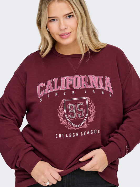 ONLY CARMAKOMA CARBEN L/S O-NECK SWEAT JRS ROO