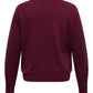 ONLY CARMAKOMA  CARHALIFAX LS SEQUINS PULLOVER KNT ROOD