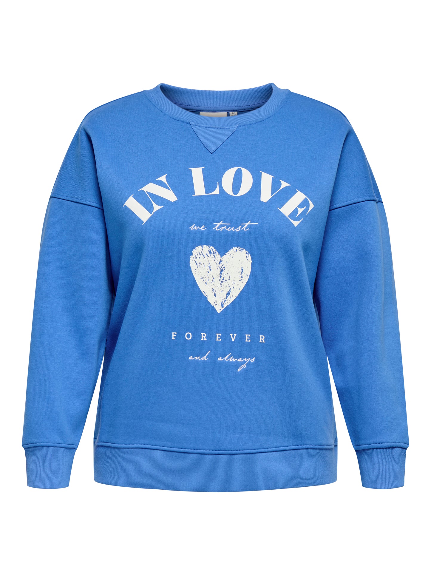 ONLY CARMAKOMA  CARSOFIA L/S WORD O-NECK SWT JRS BLAUW