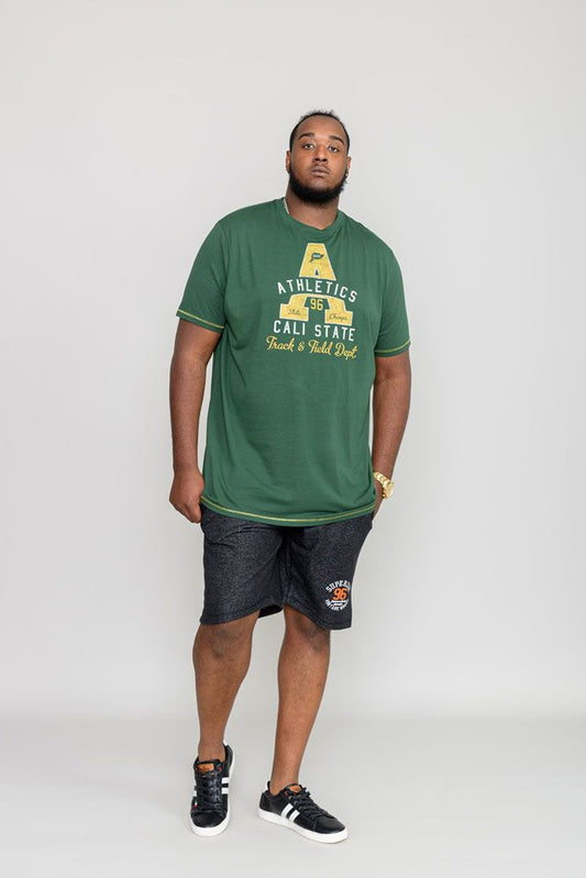 Duke 555 Tovil T-Shirt in de kleur groen print Athletics
